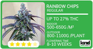 Understanding Marijuana Seeds in New Mexico A Complete Guide