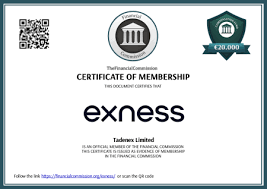Comprehensive Guide to the Exness Web Terminal
